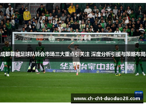 成都蓉城足球队转会市场三大重点引关注 深度分析引援与策略布局 成都蓉城足球队转会市场三大重点引关注 深度分析引援与策略布局
