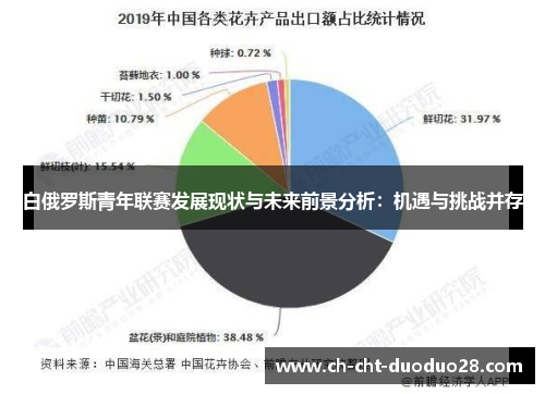 白俄罗斯青年联赛发展现状与未来前景分析:机遇与挑战并存 白俄罗斯青年联赛发展现状与未来前景分析:机遇与挑战并存