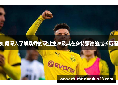 如何深入了解桑乔的职业生涯及其在多特蒙德的成长历程