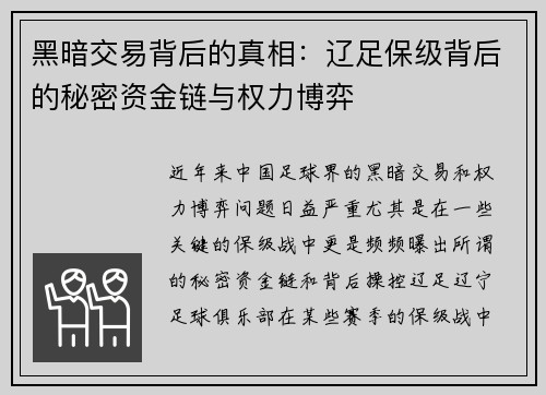 黑暗交易背后的真相:辽足保级背后的秘密资金链与权力博弈 黑暗交易背后的真相:辽足保级背后的秘密资金链与权力博弈